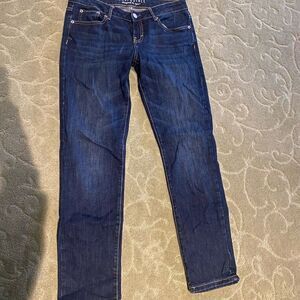 Dark Wash Blue Skinny Jeans